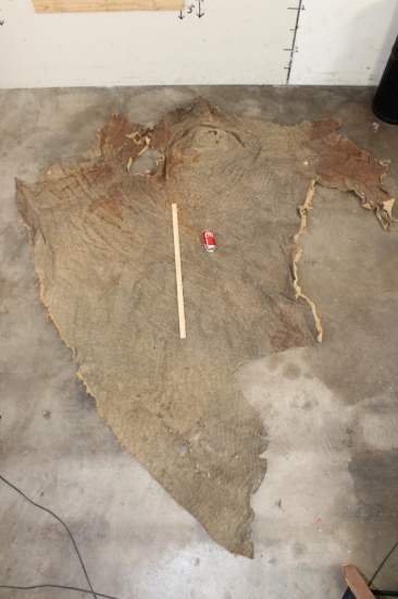 XL Piece of Soft and Tanned African ELEPHANT Hide