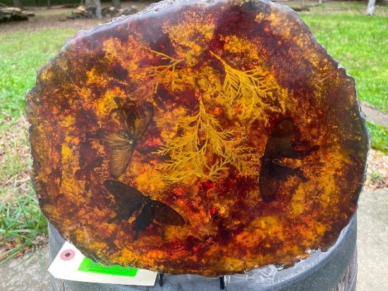 3 MOTHS Encased in Simulated AMBER with a Display Stand