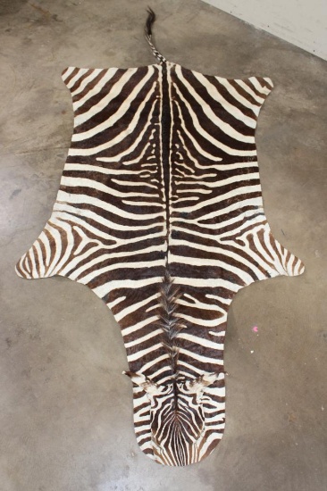 Soft and Pliable ZEBRA Hide