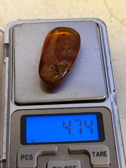 Big 23.65 ct AMBER Myanmar Fossil Resin with Wasp and Mosquito Inclusions