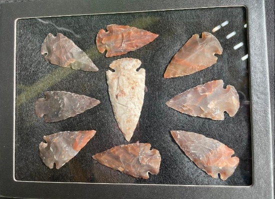 (9) ARROWHEAD Points in a Glass Display Case (ONE$)