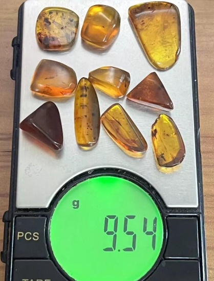 (10) Pieces of Authentic Myanmar AMBER Fossil Specimens with Insects, Weight: 9.54 grams (ONE$)