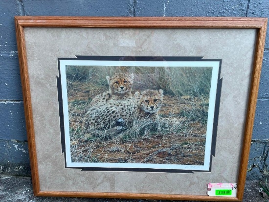 "Little Princess" Cheetah Art Print signed by artist Alan M. Hunt with a COA in a Wooden Frame