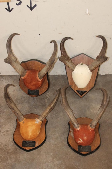 (4) Sets of Mounted PRONGHORNS on Wooden Plaques (ONE$)