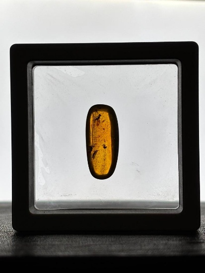 Authentic 10.3 ct Myanmar AMBER Fossil Resin with a Horsefly Inclusion