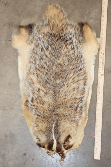 North American BADGER Hide