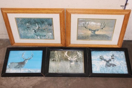 (5) Framed MULE DEER Photo Prints (ONE$)