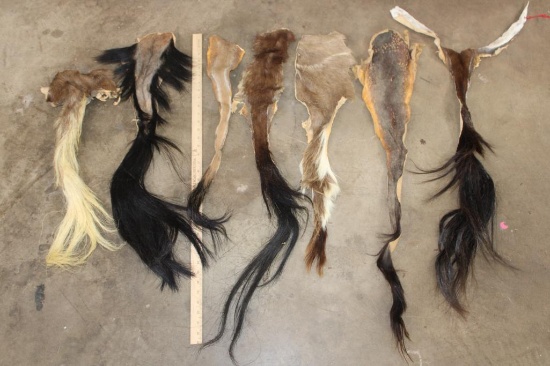 (7) African Animal Tails (ONE$)