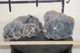 (2) Petrified Wood Slab Slices (ONE$)