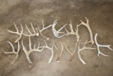 (9) Assorted Antler SHEDS and (4) Antler Cutoffs (ONE$)