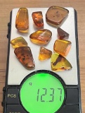 (10) Pieces of Authentic Myanmar AMBER Fossil Insect Specimens, Weight: 12.37 grams (ONE$)