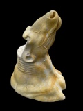 XXL CAPE BUFFALO Mannequin or Form for a Taxidermy Shoulder Mount