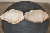 (2) Polished PETRIFIED WOOD Slices from Indonesia (ONE$)
