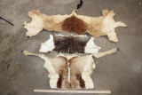 (3) Back Hides (ONE$)