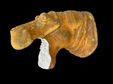 XXL HIPPOPOTAMUS Mannequin or Form for a Taxidermy Shoulder Mount