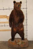Life-sized Standing BROWN BEAR on a simulated Rock Base with Wheels