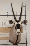 GEMSBOK Shoulder Mount