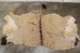 LORD DERBY ELAND Back Hide