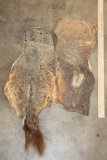 (1) HIPPOPOTAMUS Tail Hide and (1) HIPPO Hide Section (ONE$)