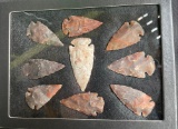(9) ARROWHEAD Points in a Glass Display Case (ONE$)