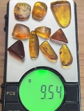 (10) Pieces of Authentic Myanmar AMBER Fossil Specimens with Insects, Weight: 9.54 grams (ONE$)