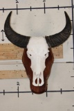 WATER BUFFALO Skull on a Wood Wall Pedestal