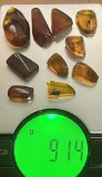 (10) Pieces of Authentic Myanmar AMBER Fossil Insect and Plant Specimens, Weight: 9.14 g (ONE$)