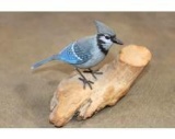 Hand-carved and Hand-painted BLUE JAY Statue Signed by artist 