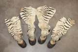 (4) ZEBRA Hooves with attached Leg Hide (ONE$)