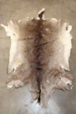 WHITETAIL DEER Hide