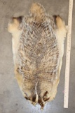 North American BADGER Hide