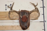 10-Point WHITETAIL DEER Antler Rack on a Rustic Wood Plaque