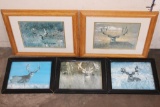 (5) Framed MULE DEER Photo Prints (ONE$)