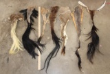 (7) African Animal Tails (ONE$)
