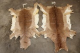 (2) IMPALA Hides (ONE$)