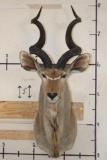 KUDU Shoulder Mount