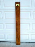 Complete RATTLESNAKE Skin with its Rattle Displayed on a Wooden Board
