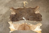 (1) BLACK WILDEBEEST Back Hide and (1) IMPALA Back Hide (ONE$)