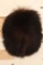 BLACK BEAR Bottom and Tail Mount