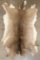 WHITETAIL DEER Hide or Pelt