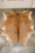 *Brand New* XL Tricolor COW HIDE