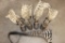 (4) ZEBRA Hooves with Leg Hide and (1) ZEBRA Tail (ONE$)