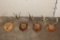 (4) Mounted WHITETAIL DEER Antler Racks on Wooden Plaques (ONE$)