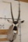 Big GEMSBOK Shoulder Mount