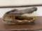 Large ALLIGATOR Head with All its Teeth and Glass Eyes