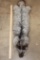 Nice and Soft SILVER FOX Cross Hide
