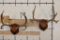 (2) MULE DEER Antler Racks on Wooden Plaques (ONE$)