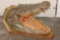 XL CROCOBIDLE Head with *Real Skin* and *Real Teeth* mounted on a Wood Pedestal