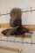Life-sized Flying TURKEY with a Wire Wall Hanger