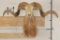 TEXAS DALL SHEEP Ram Shoulder Mount